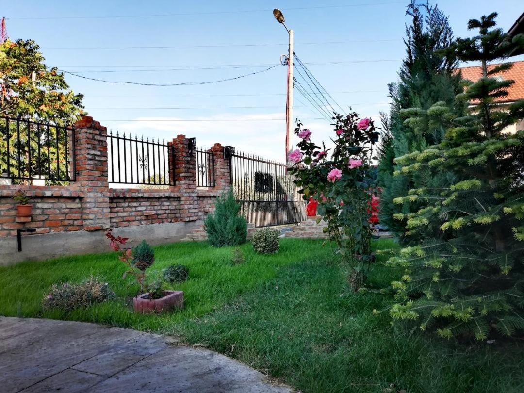 Casa Alba Hotel Năvodari Екстериор снимка