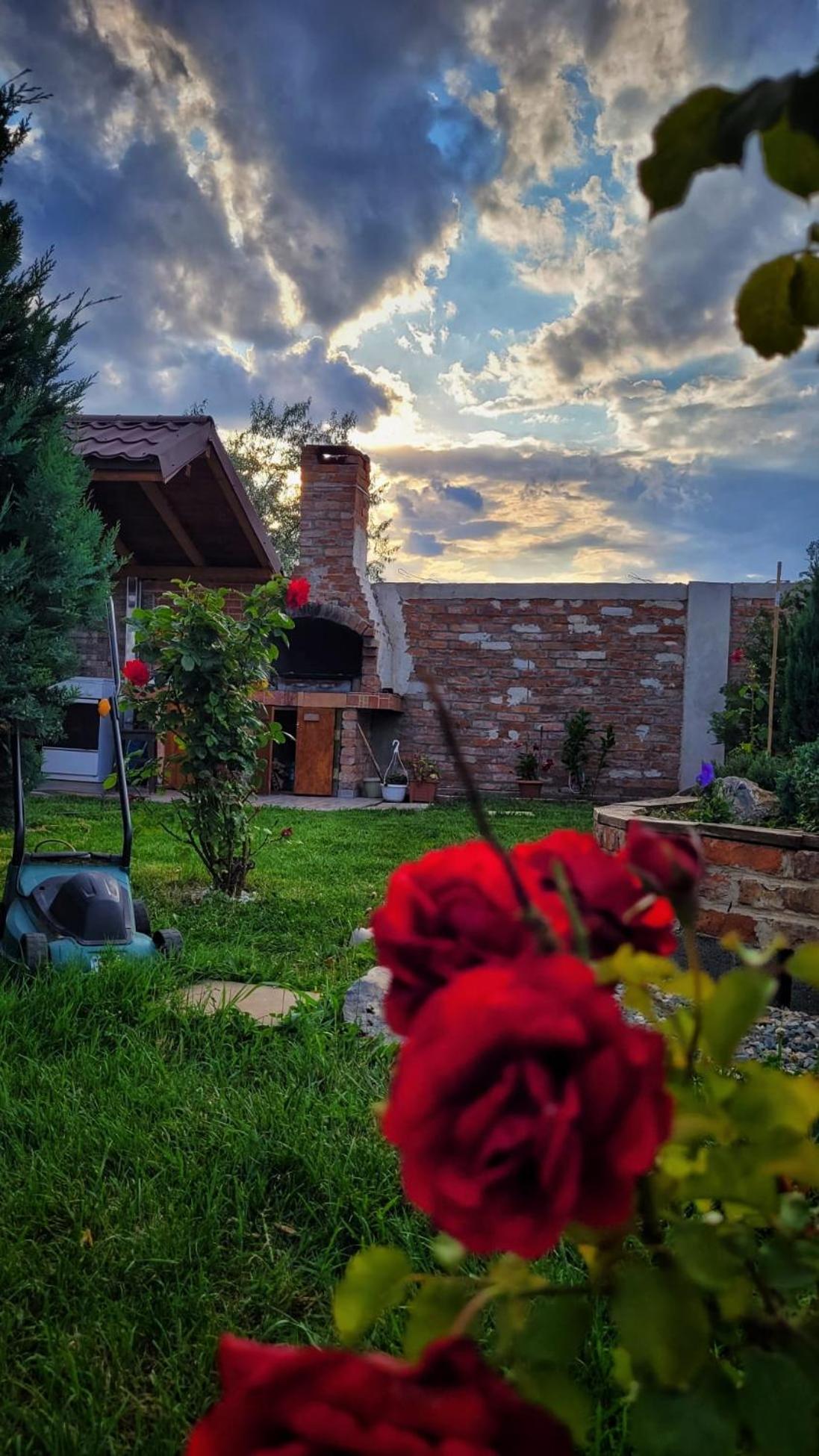 Casa Alba Hotel Năvodari Екстериор снимка