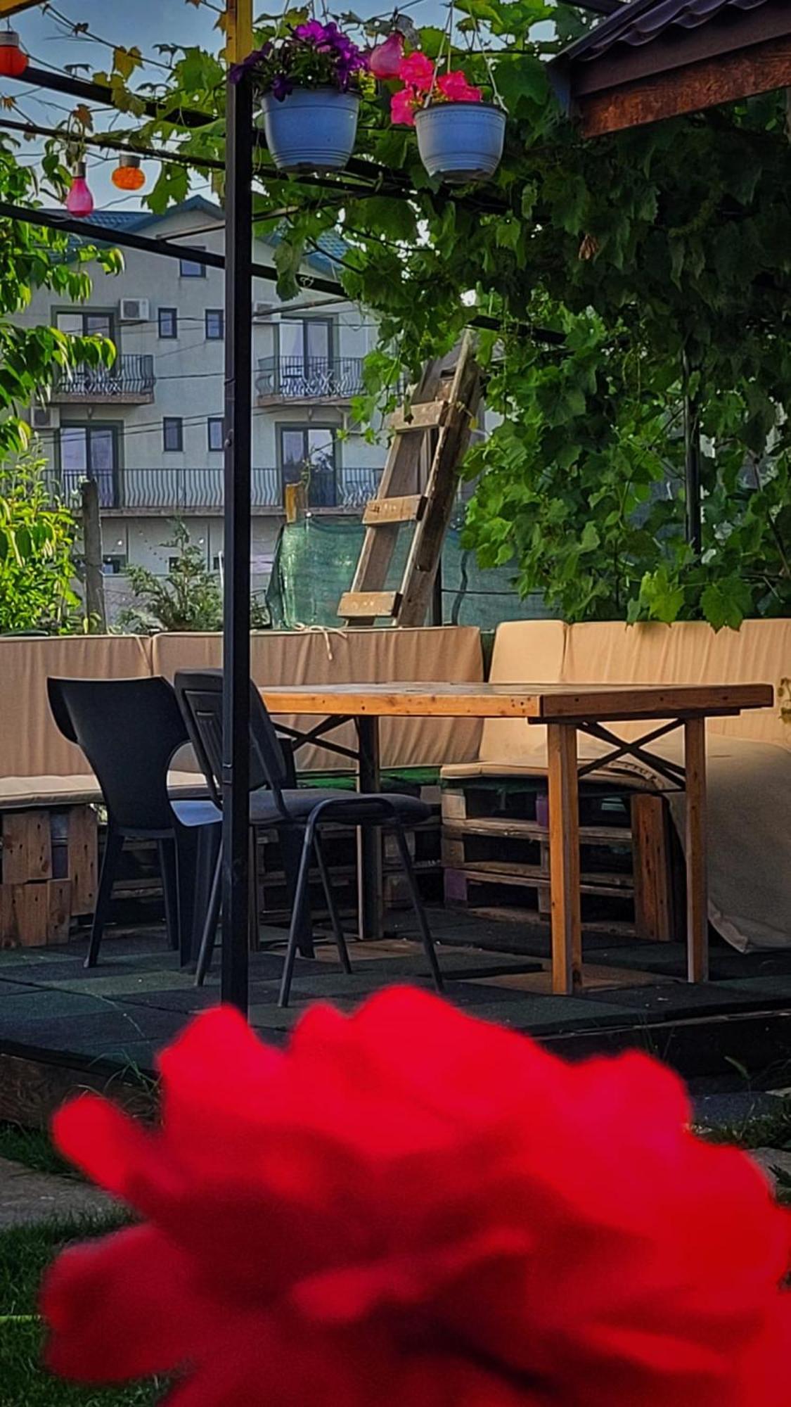 Casa Alba Hotel Năvodari Екстериор снимка