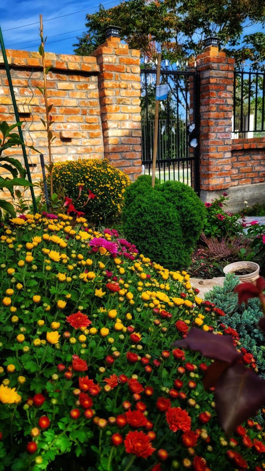 Casa Alba Hotel Năvodari Екстериор снимка